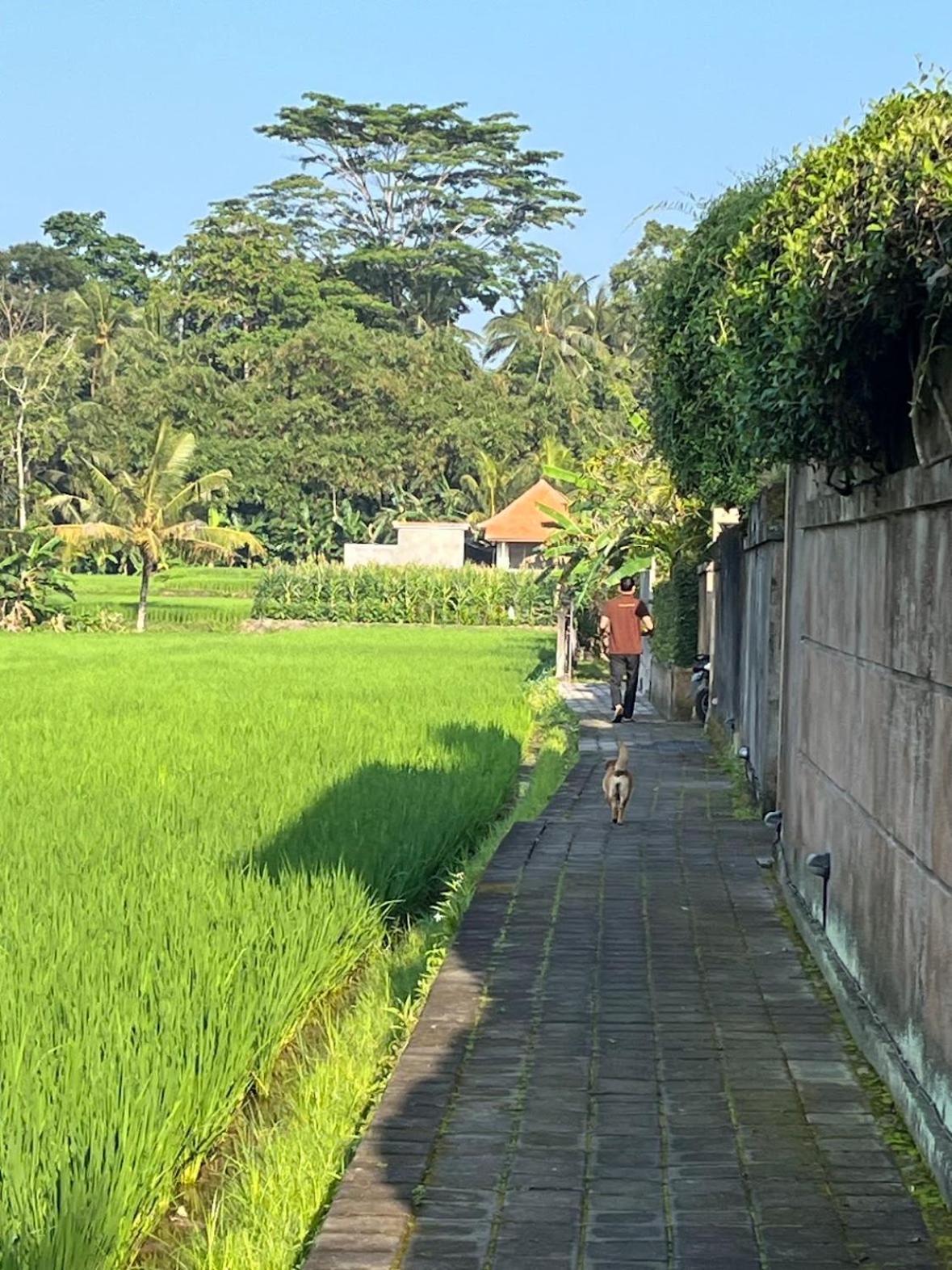 Uma Padi Villa Ubud Dış mekan fotoğraf