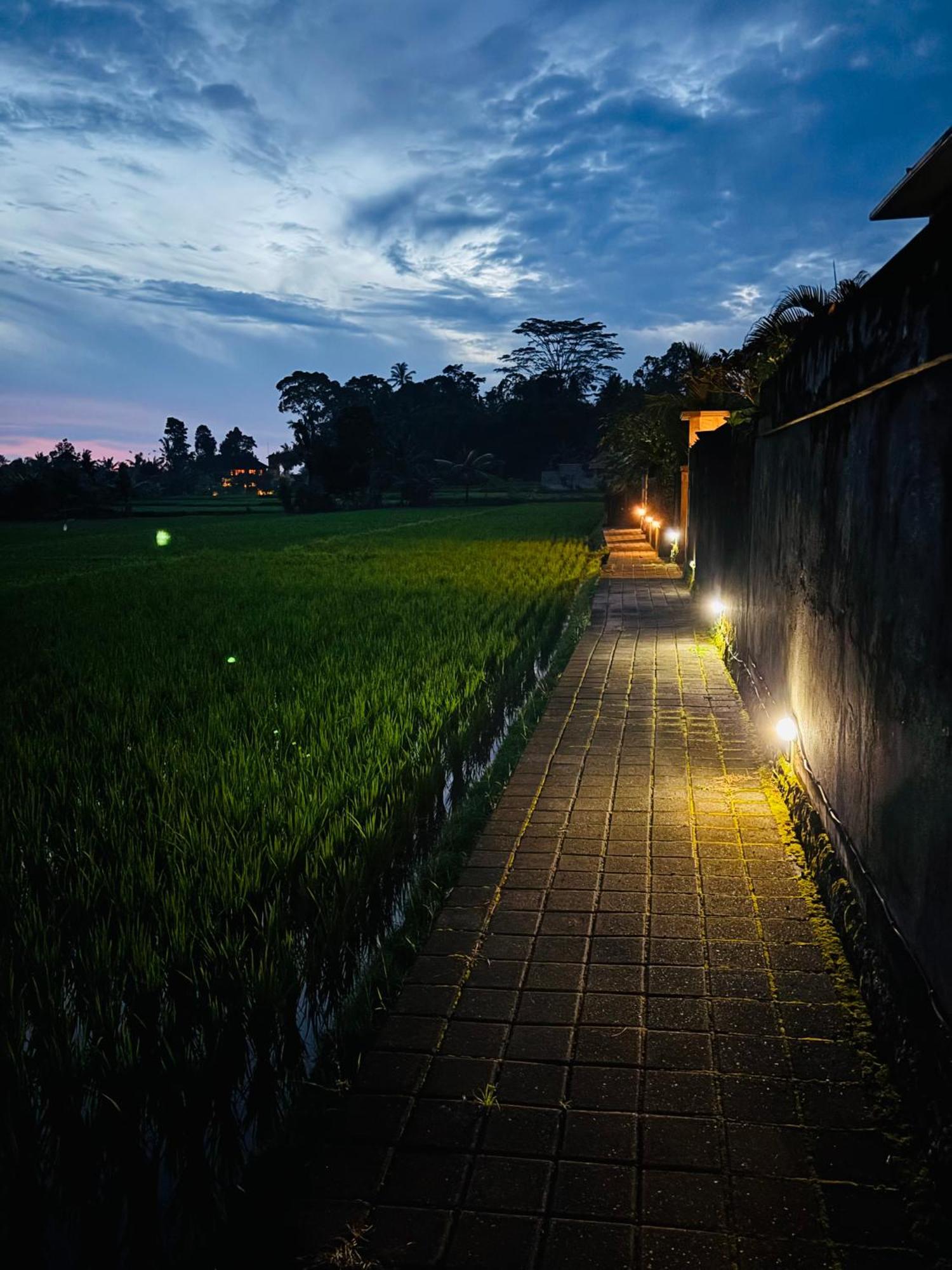 Uma Padi Villa Ubud Dış mekan fotoğraf