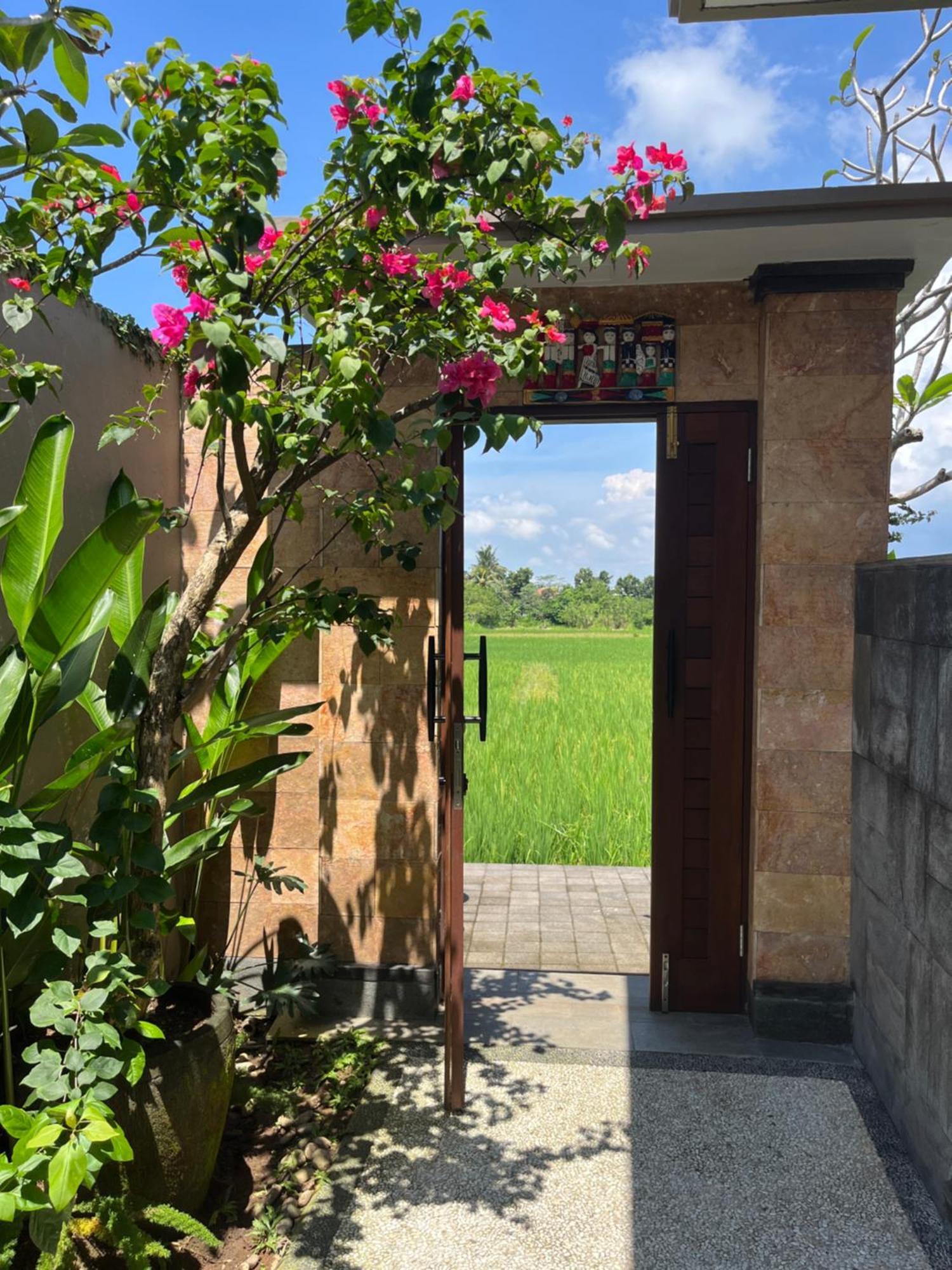Uma Padi Villa Ubud Dış mekan fotoğraf