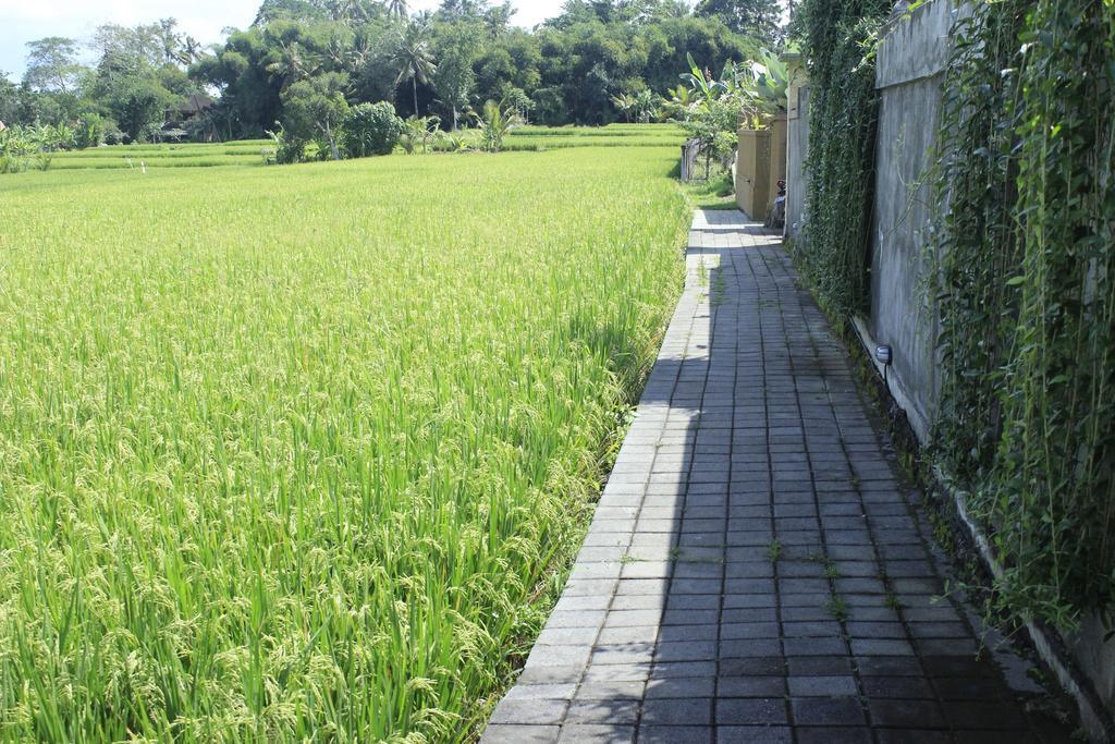 Uma Padi Villa Ubud Dış mekan fotoğraf